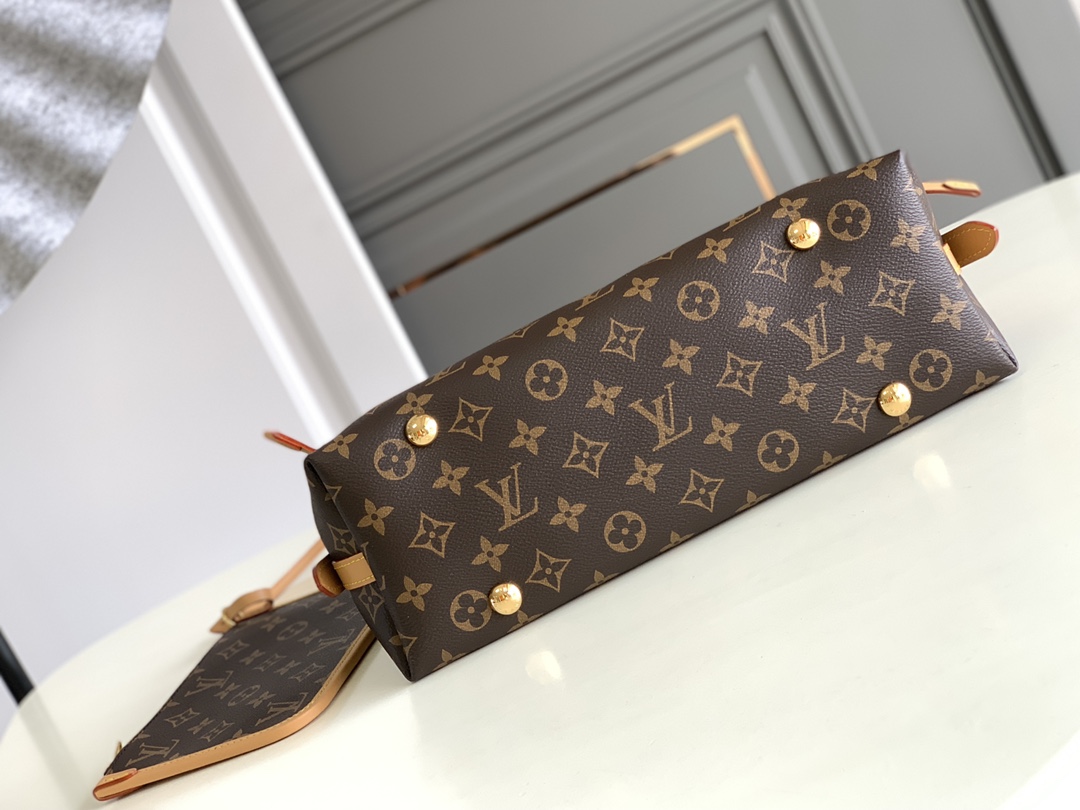 Louis Vuitton CarryAll PM Bag Monogram Canvas M46203