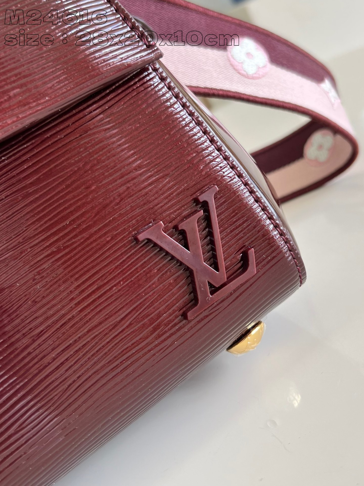 LOUIS VUITTON CLUNY MINI M24616 (20*16*7.5cm)