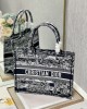 Dior 36cm Book Tote Navy Blue Toile de Jouy Stripes Embroider